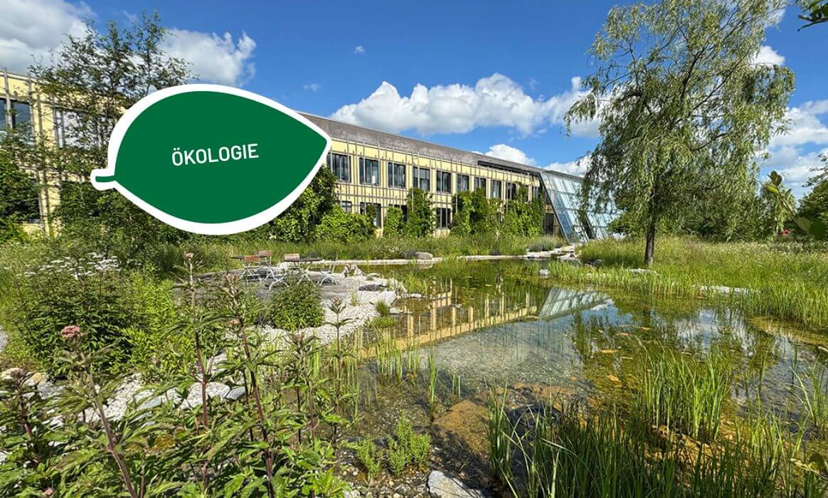 Firmengebäude von Byodo mit Teich im Vordergrund